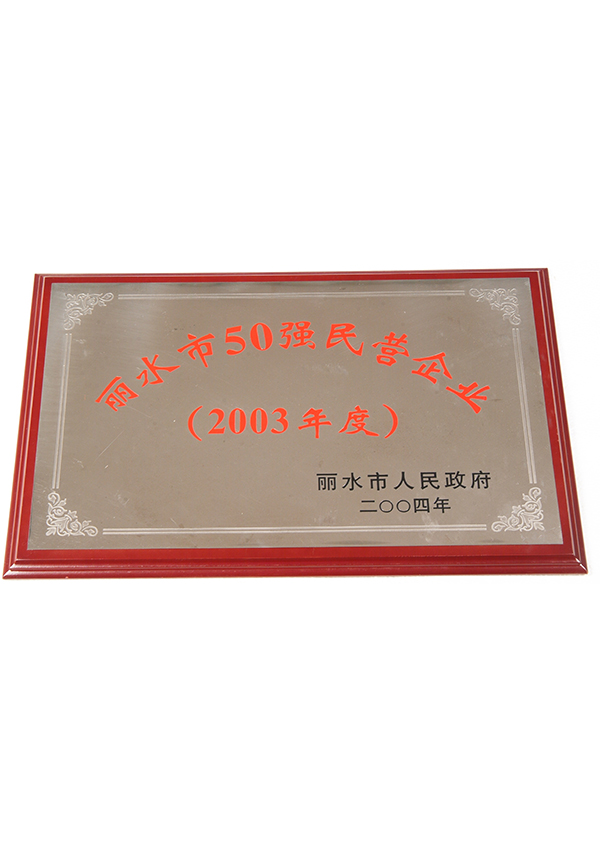 麗水市50強企業(yè)