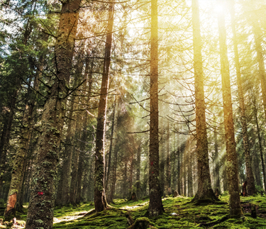 木質玩具的好處