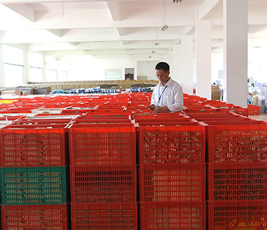 省經(jīng)信委主任張金如走訪新云集團(tuán)